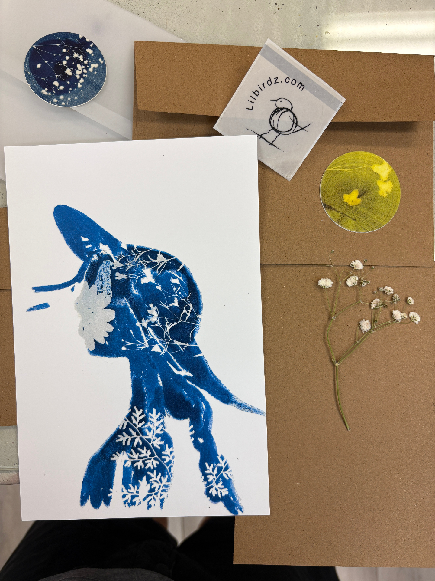 A Print Club package — signed cyanotype print with Lilbirdz sticker and pressed flowers